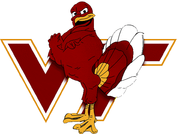 Virginia Tech Hokies 2000-Pres Alternate Logo t shirts iron on transfers